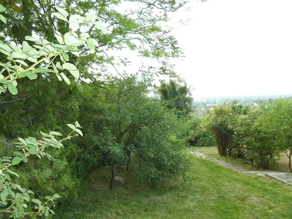 Rooms For Wildroses Budapest 0*,