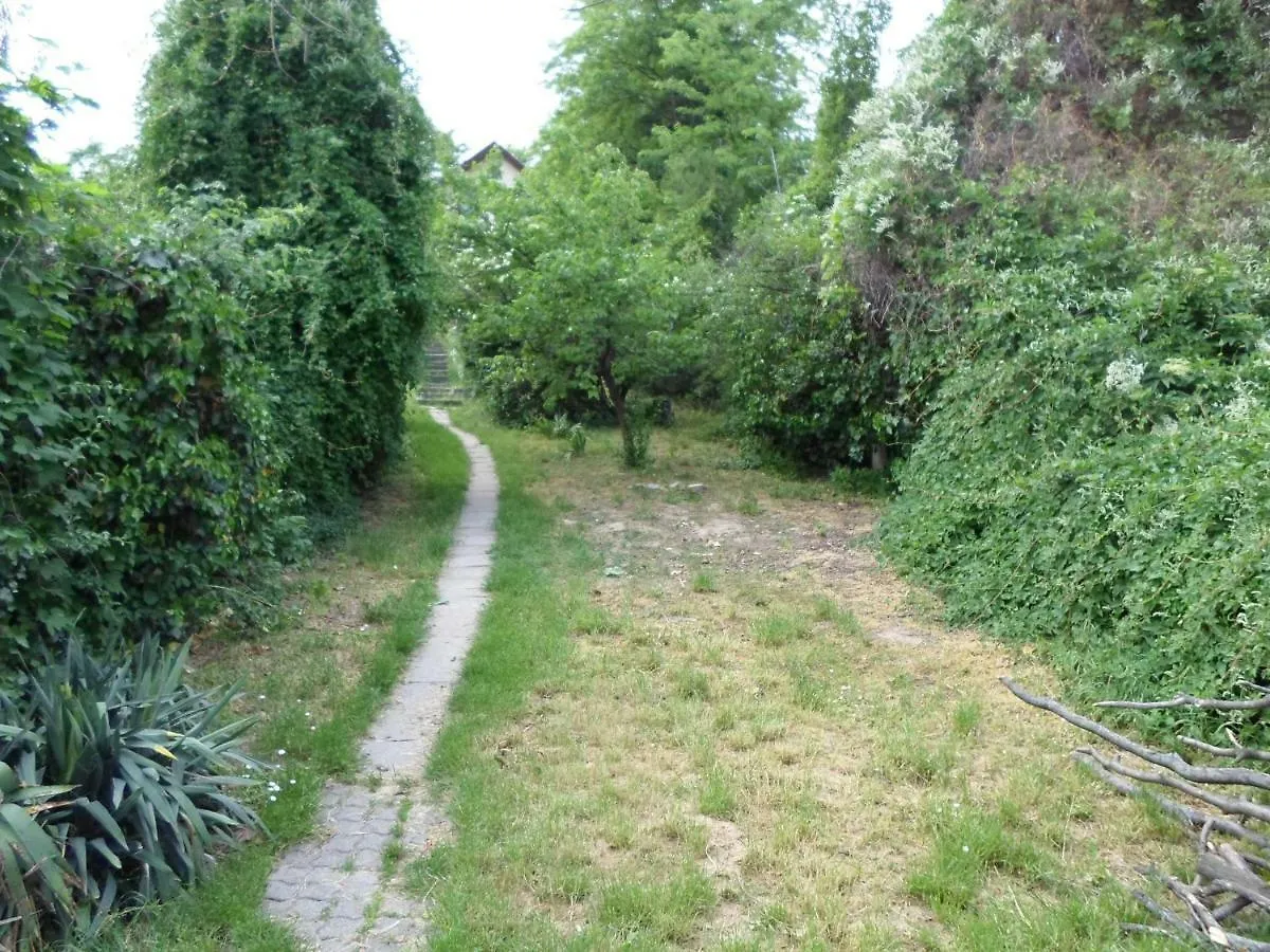 Rooms For Wildroses Budapest Hungary