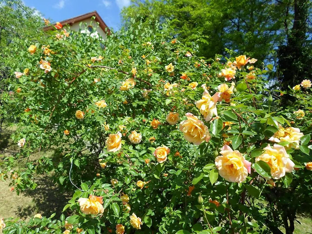 בית אירוח בודפשט Rooms For Wildroses הונגריה